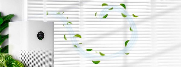 Comment purifier efficacement l'air que nous respirons ?