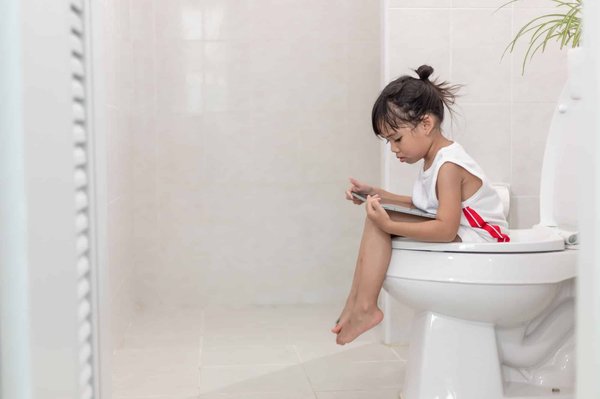 La référence en matière de kit wc japonais
