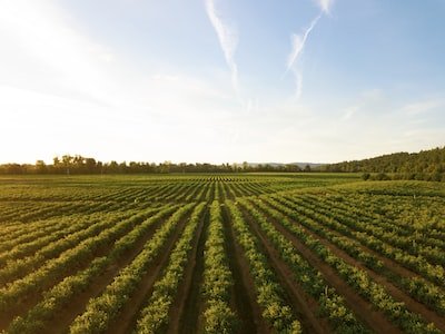 Comment obtenir un financement pour un projet agricole ?